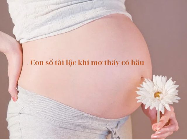 mo thay co bau 