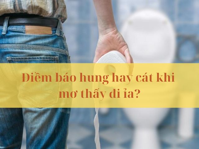 mơ thấy đi ỉa